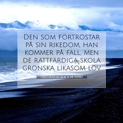 Picture 07 - Ordspråksboken 11:28 SV1917 - Den som förtröstar på sin rikedom, han kommer - Bible Verse Picture