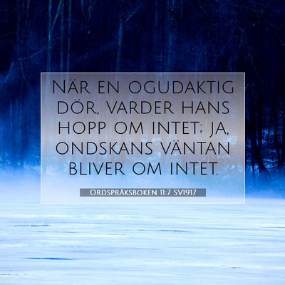 Picture 07 - Ordspråksboken 11:7 SV1917 - När en ogudaktig dör, varder hans hopp om - Bible Verse Picture