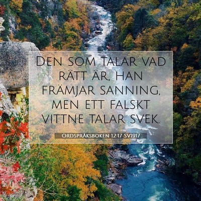 Picture 07 - Ordspråksboken 12:17 SV1917 - Den som talar vad rätt är, han främjar - Bible Verse Picture