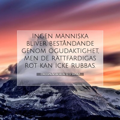 Picture 07 - Ordspråksboken 12:3 SV1917 - Ingen människa bliver beståndande genom - Bible Verse Picture