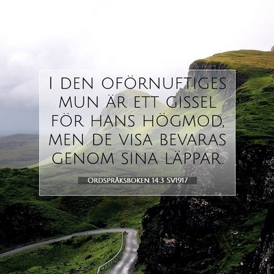 Picture 07 - Ordspråksboken 14:3 SV1917 - I den oförnuftiges mun är ett gissel för hans - Bible Verse Picture