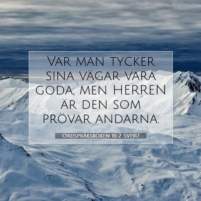 Picture 07 - Ordspråksboken 16:2 SV1917 - Var man tycker sina vägar vara goda, men HERREN - Bible Verse Picture