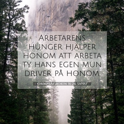 Picture 07 - Ordspråksboken 16:26 SV1917 - Arbetarens hunger hjälper honom att arbeta ty - Bible Verse Picture