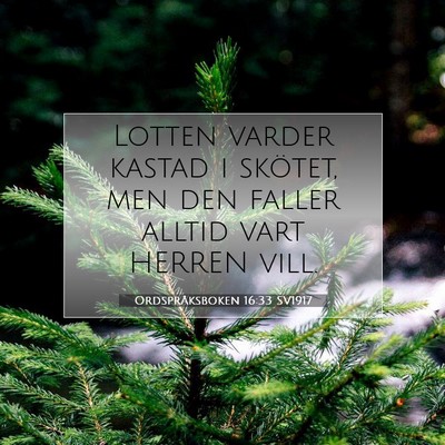 Picture 07 - Ordspråksboken 16:33 SV1917 - Lotten varder kastad i skötet, men den faller - Bible Verse Picture