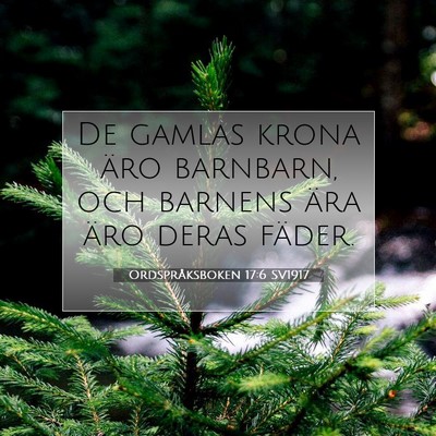 Picture 07 - Ordspråksboken 17:6 SV1917 - De gamlas krona äro barnbarn, och barnens ära - Bible Verse Picture