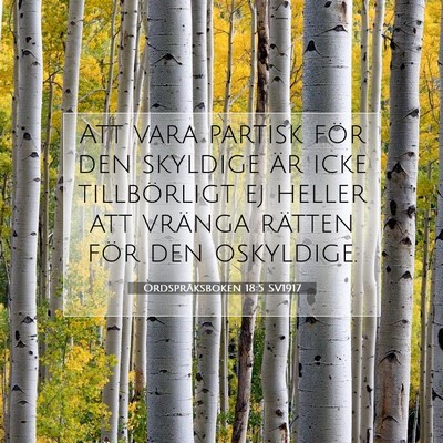 Picture 07 - Ordspråksboken 18:5 SV1917 - Att vara partisk för den skyldige är icke - Bible Verse Picture