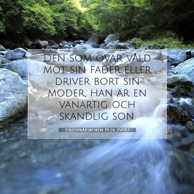 Picture 07 - Ordspråksboken 19:26 SV1917 - Den som övar våld mot sin fader eller driver - Bible Verse Picture