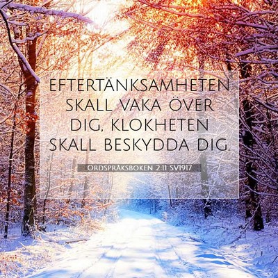 Picture 07 - Ordspråksboken 2:11 SV1917 - eftertänksamheten skall vaka över dig, - Bible Verse Picture