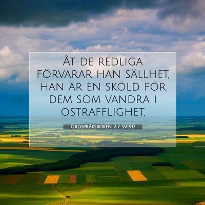 Picture 07 - Ordspråksboken 2:7 SV1917 - Åt de redliga förvarar han sällhet, han är en - Bible Verse Picture