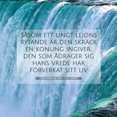 Picture 07 - Ordspråksboken 20:2 SV1917 - Såsom ett ungt lejons rytande är den skräck en - Bible Verse Picture