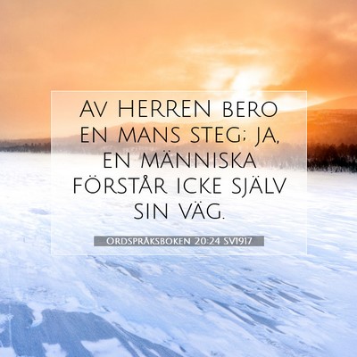 Picture 07 - Ordspråksboken 20:24 SV1917 - Av HERREN bero en mans steg; ja, en människa - Bible Verse Picture