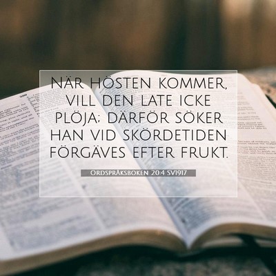 Picture 07 - Ordspråksboken 20:4 SV1917 - När hösten kommer, vill den late icke plöja; - Bible Verse Picture