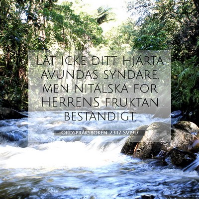 Picture 07 - Ordspråksboken 23:17 SV1917 - Låt icke ditt hjärta avundas syndare, men - Bible Verse Picture