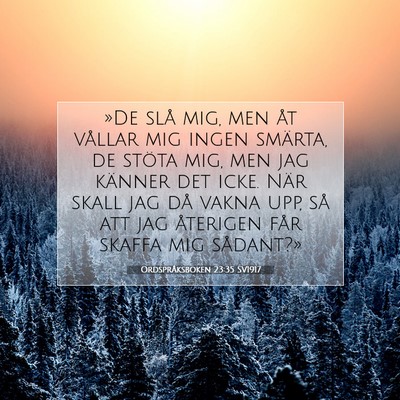Picture 07 - Ordspråksboken 23:35 SV1917 - »De slå mig, men åt vållar mig ingen smärta, - Bible Verse Picture