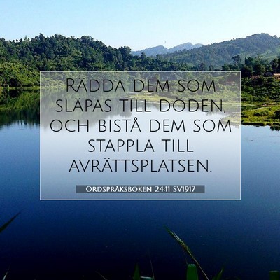 Picture 07 - Ordspråksboken 24:11 SV1917 - Rädda dem som släpas till döden, och bistå - Bible Verse Picture