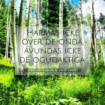 Picture 07 - Ordspråksboken 24:19 SV1917 - Harmas icke över de onda, avundas icke de - Bible Verse Picture