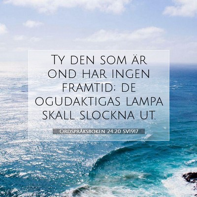 Picture 07 - Ordspråksboken 24:20 SV1917 - Ty den som är ond har ingen framtid; de - Bible Verse Picture