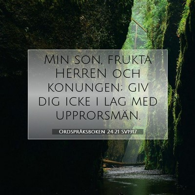 Picture 07 - Ordspråksboken 24:21 SV1917 - Min son, frukta HERREN och konungen; giv dig icke - Bible Verse Picture