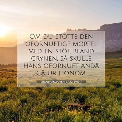 Picture 07 - Ordspråksboken 27:22 SV1917 - Om du stötte den oförnuftige mortel med en - Bible Verse Picture
