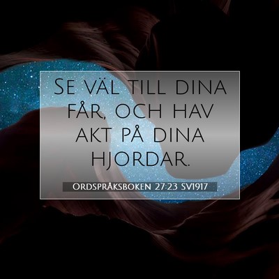 Picture 07 - Ordspråksboken 27:23 SV1917 - Se väl till dina får, och hav akt på dina - Bible Verse Picture