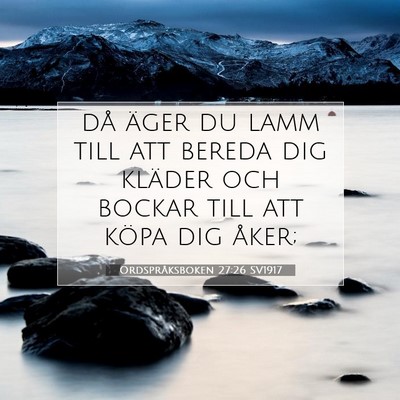 Picture 07 - Ordspråksboken 27:26 SV1917 - då äger du lamm till att bereda dig kläder och - Bible Verse Picture