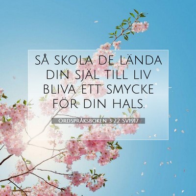 Picture 07 - Ordspråksboken 3:22 SV1917 - så skola de lända din själ till liv bliva ett - Bible Verse Picture