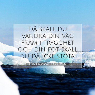 Picture 07 - Ordspråksboken 3:23 SV1917 - Då skall du vandra din väg fram i trygghet, och - Bible Verse Picture