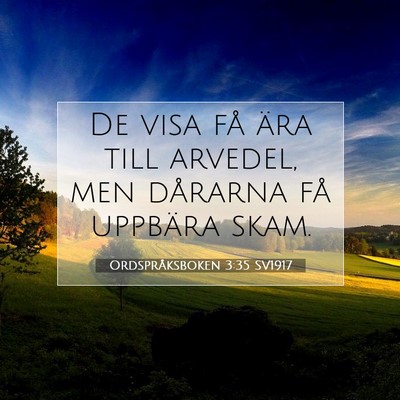 Picture 07 - Ordspråksboken 3:35 SV1917 - De visa få ära till arvedel, men dårarna få - Bible Verse Picture