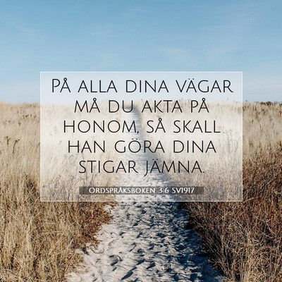 Picture 07 - Ordspråksboken 3:6 SV1917 - På alla dina vägar må du akta på honom, så - Bible Verse Picture