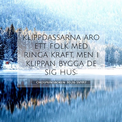 Picture 07 - Ordspråksboken 30:26 SV1917 - klippdassarna äro ett folk med ringa kraft, men - Bible Verse Picture