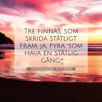 Picture 07 - Ordspråksboken 30:29 SV1917 - Tre finnas, som skrida ståtligt fram, ja, fyra, - Bible Verse Picture