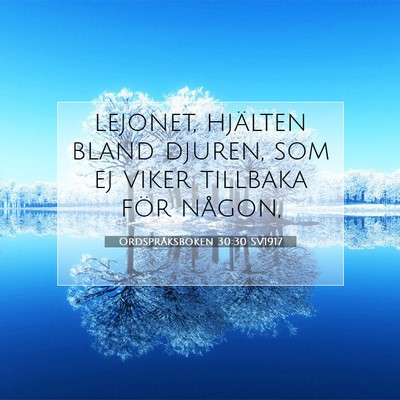 Picture 07 - Ordspråksboken 30:30 SV1917 - lejonet, hjälten bland djuren, som ej viker - Bible Verse Picture