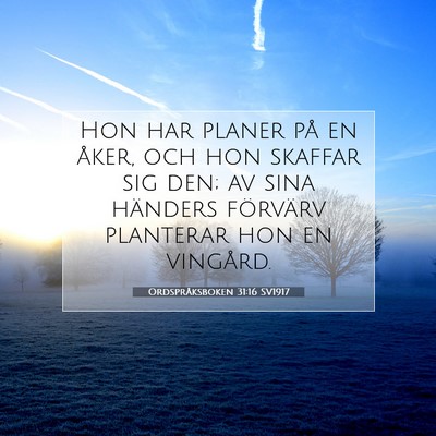 Picture 07 - Ordspråksboken 31:16 SV1917 - Hon har planer på en åker, och hon skaffar sig - Bible Verse Picture