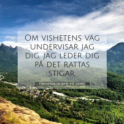 Picture 07 - Ordspråksboken 4:11 SV1917 - Om vishetens väg undervisar jag dig, jag leder - Bible Verse Picture