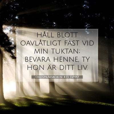Picture 07 - Ordspråksboken 4:13 SV1917 - håll blott oavlåtligt fast vid min tuktan; - Bible Verse Picture