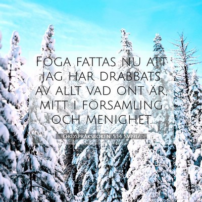 Picture 07 - Ordspråksboken 5:14 SV1917 - Föga fattas nu att jag har drabbats av allt vad - Bible Verse Picture