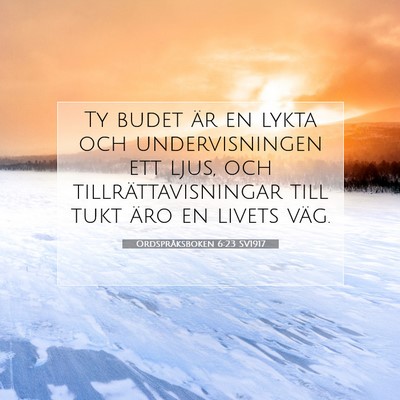 Picture 07 - Ordspråksboken 6:23 SV1917 - Ty budet är en lykta och undervisningen ett - Bible Verse Picture