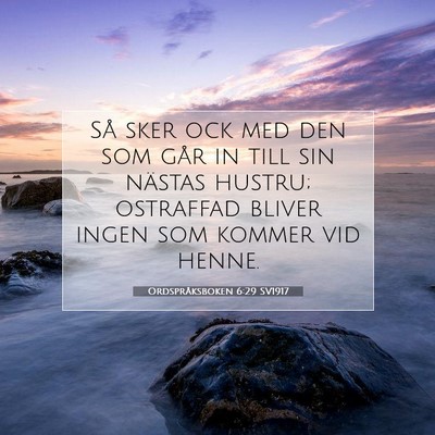 Picture 07 - Ordspråksboken 6:29 SV1917 - Så sker ock med den som går in till sin nästas - Bible Verse Picture