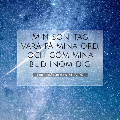 Picture 07 - Ordspråksboken 7:1 SV1917 - Min son, tag vara på mina ord, och göm mina bud - Bible Verse Picture