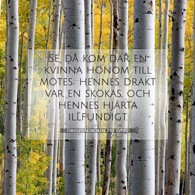 Picture 07 - Ordspråksboken 7:10 SV1917 - Se, då kom där en kvinna honom till mötes; - Bible Verse Picture