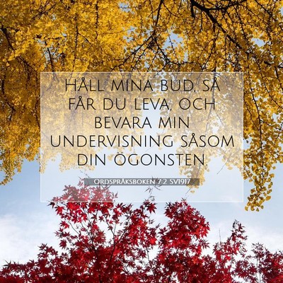 Picture 07 - Ordspråksboken 7:2 SV1917 - Håll mina bud, så får du leva, och bevara min - Bible Verse Picture