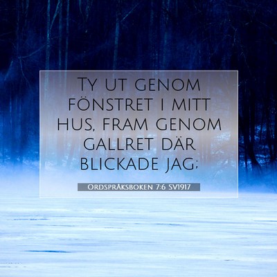 Picture 07 - Ordspråksboken 7:6 SV1917 - Ty ut genom fönstret i mitt hus, fram genom - Bible Verse Picture