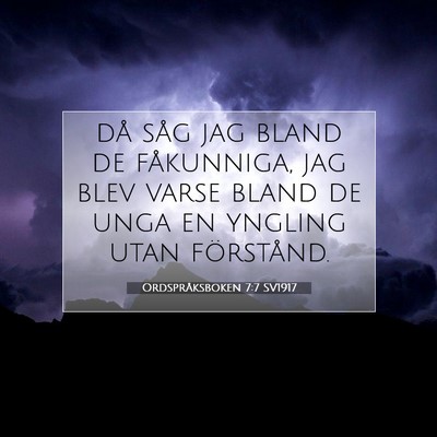 Picture 07 - Ordspråksboken 7:7 SV1917 - då såg jag bland de fåkunniga, jag blev varse - Bible Verse Picture