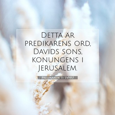 Picture 07 - Predikaren 1:1 SV1917 - Detta är predikarens ord, Davids sons, konungens - Bible Verse Picture