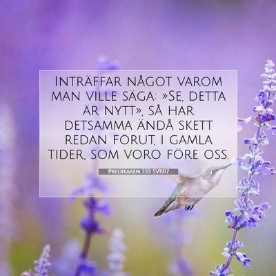 Picture 07 - Predikaren 1:10 SV1917 - Inträffar något varom man ville säga: »Se, - Bible Verse Picture