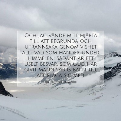 Picture 07 - Predikaren 1:13 SV1917 - Och jag vände mitt hjärta till att begrunda och - Bible Verse Picture