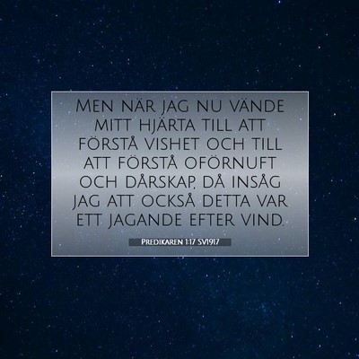Picture 07 - Predikaren 1:17 SV1917 - Men när jag nu vände mitt hjärta till att - Bible Verse Picture