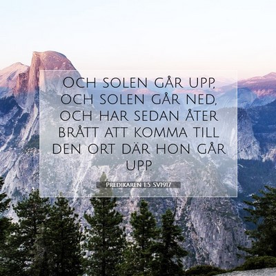 Picture 07 - Predikaren 1:5 SV1917 - Och solen går upp, och solen går ned, och har - Bible Verse Picture