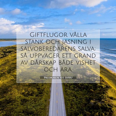 Picture 07 - Predikaren 10:1 SV1917 - Giftflugor vålla stank och jäsning i - Bible Verse Picture