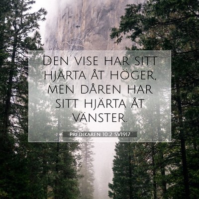 Picture 07 - Predikaren 10:2 SV1917 - Den vise har sitt hjärta åt höger, men dåren - Bible Verse Picture